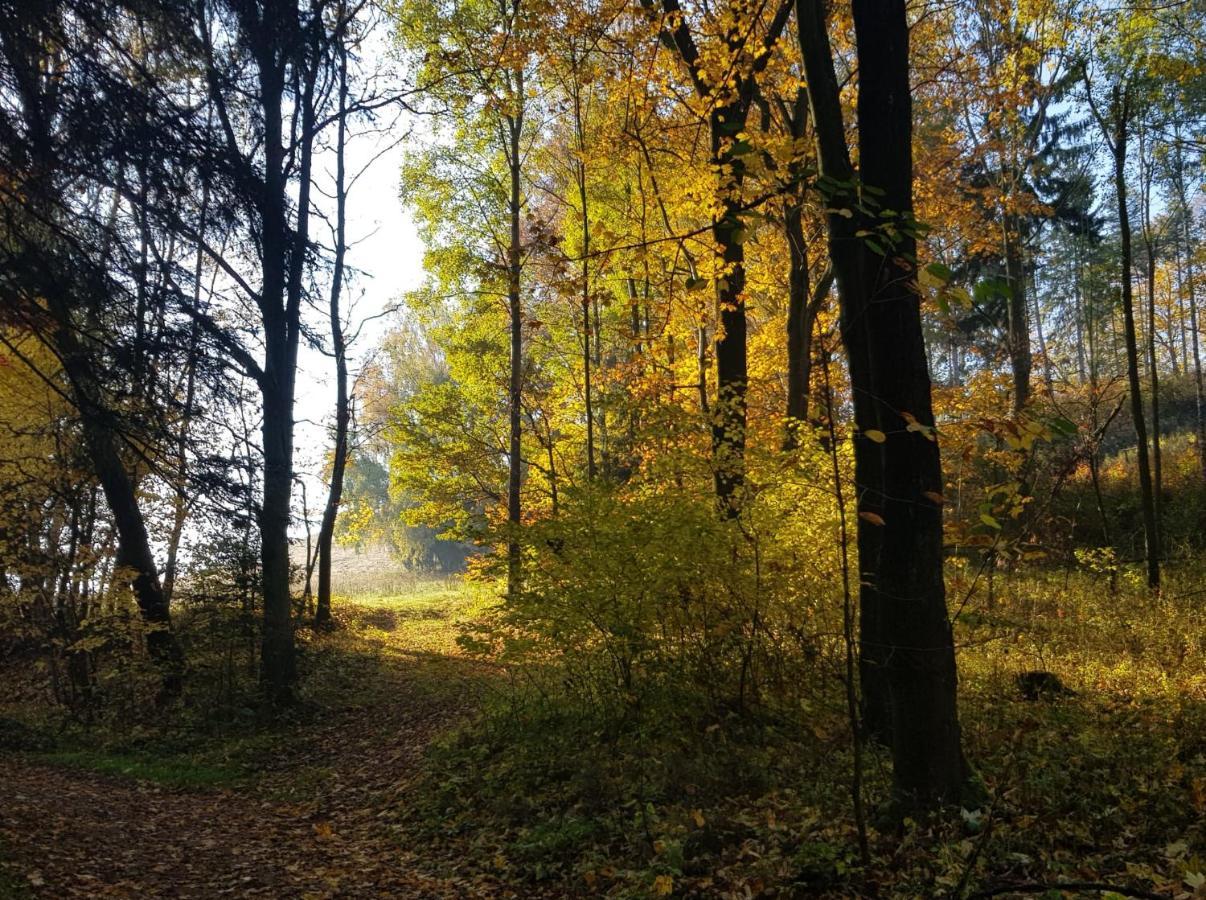 Pokoje Goscinne Art- Dworek Kudowa-Zdrój Exterior foto