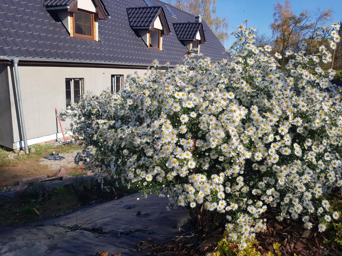 Pokoje Goscinne Art- Dworek Kudowa-Zdrój Exterior foto