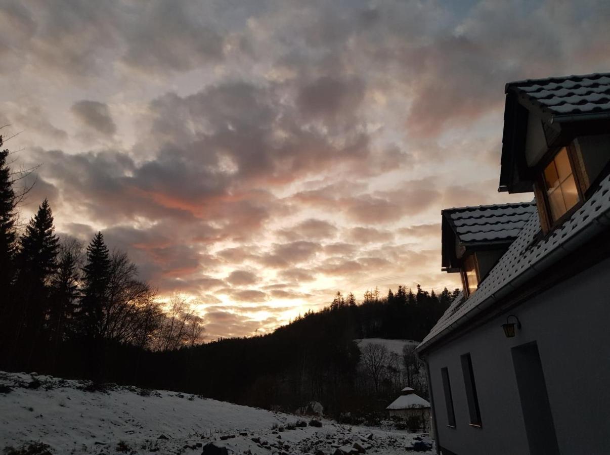 Pokoje Goscinne Art- Dworek Kudowa-Zdrój Exterior foto