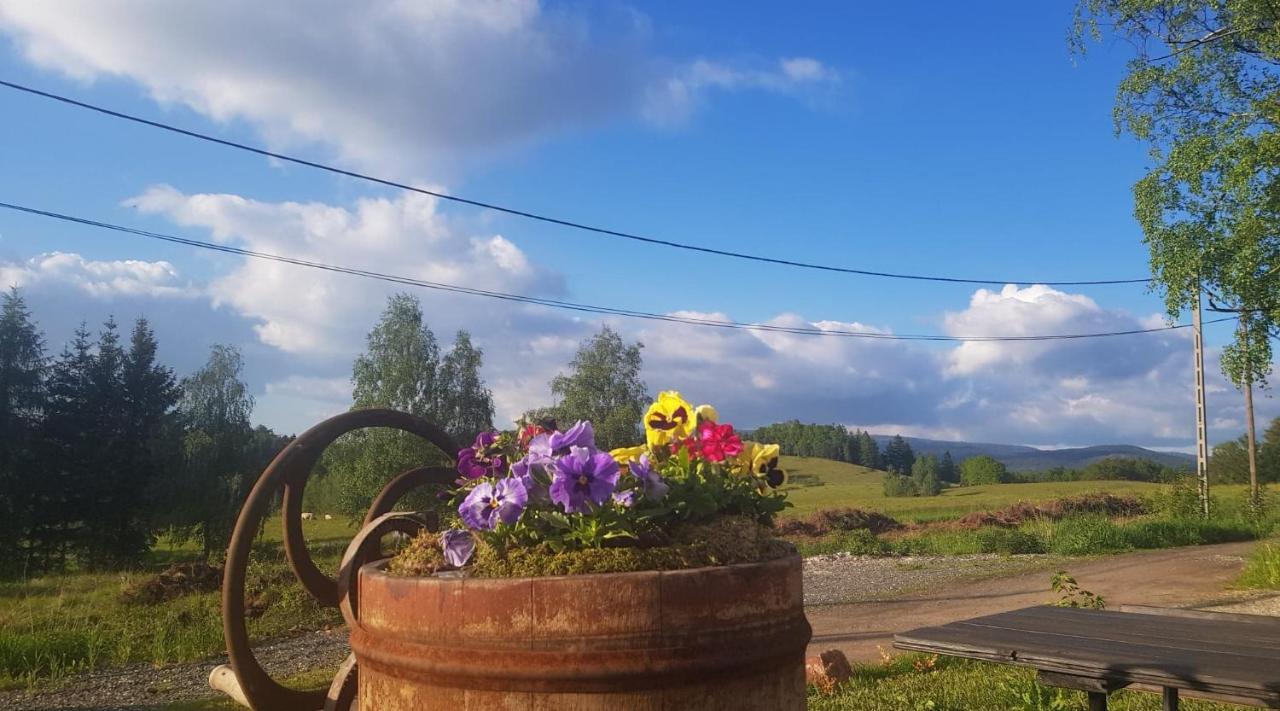 Pokoje Goscinne Art- Dworek Kudowa-Zdrój Exterior foto
