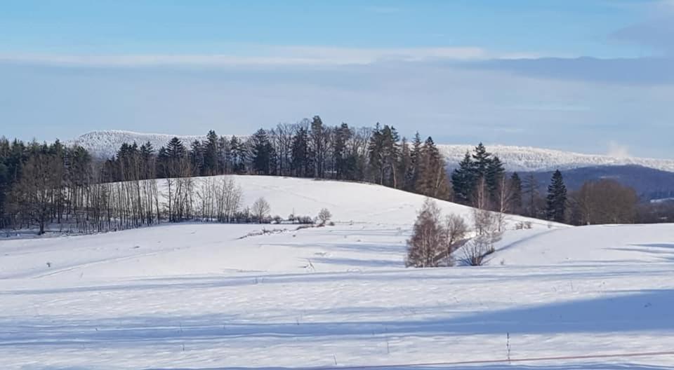 Pokoje Goscinne Art- Dworek Kudowa-Zdrój Exterior foto